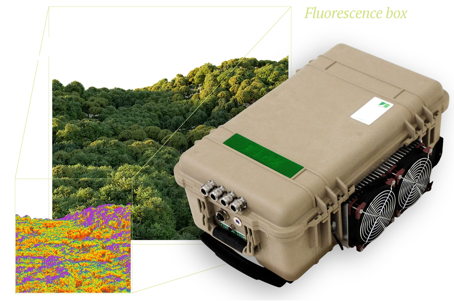 FLOX product in front of forest canopy
