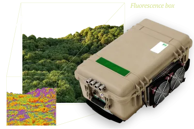 FLOX in front of treetop canopy