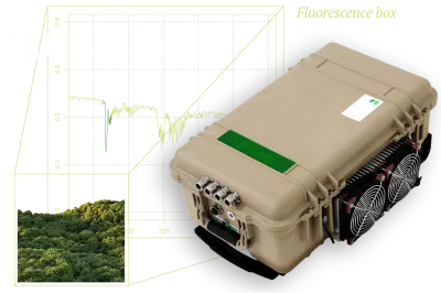 FLOX in front of treetop canopy